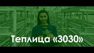 Аэропонная теплица 3030 - Конкурс Saby Аэропонная теплица 3030 - Конкурс Saby
