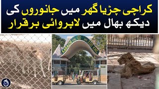 Carelessness continues in the care of animals in Karachi Zoo - Aaj News