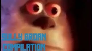 Sully Groan Compilation
