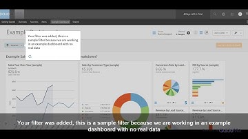 How to turn on and off page filters in Domo dashboard @Domotalk