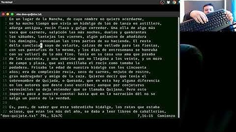 #minicurso Vim 1   Comandos básicos