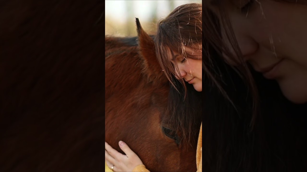 Онлайн курсы от Liberty Horse :)