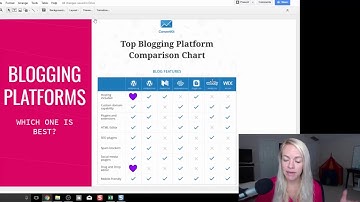 Suzi Q and You 004 - Should I blog on Wordpress or Wix?