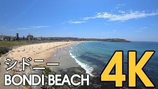 【4K SYDNEY AUSTRALIA】 Walking Trail Bondi Beach and