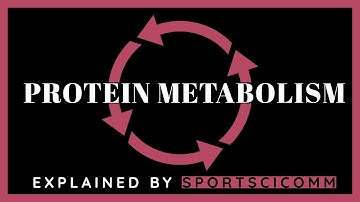 Protein Metabolism