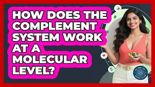 How Does The Complement System Work At A Molecular Level? - All About the Immune System