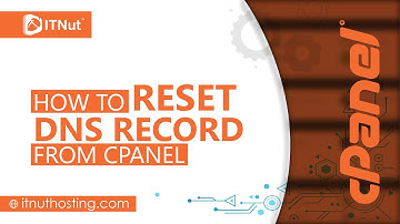 How to Reset DNS Record from cPanel - IT Nut Hosting