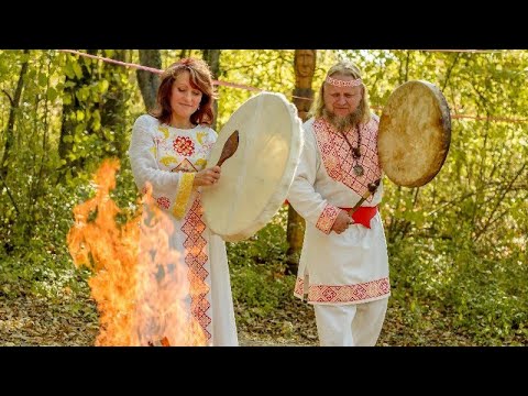 Энергии Янь и Инь в продуктах