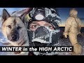 Arctic Dogs, Inuit &amp; Polar Darkness: overwintering &amp; travelling in Greenland&#39;s Far North [HD]