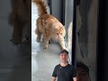 Рабочие только залили пол: кто все испортил?