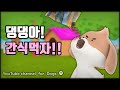 강아지 밥그릇 소리, 강아지 사료주기, 강아지 사료 떨어지는 소리 - Puppy Favorite YouTube