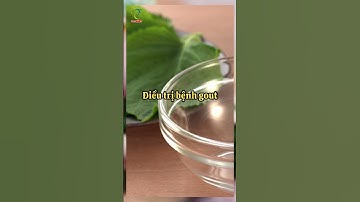 8 TÁC DỤNG TUYỆT VỜI CỦA LÁ TÍA TÔ