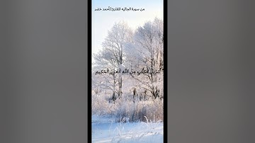 "حالات واتس"اول ايات من سورة الجاثية بصوت القارئ أحمد خضر ✨🌹
