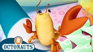 @Octonauts -  🔊 The Snapping Shrimp 🦞 | Season 1 | Full Episodes | Cartoons for Kids