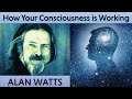 🕉😀 How your consciousness is working - Alan Watts