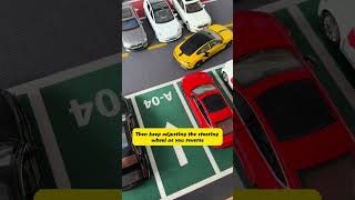 Reverse Parking Using Mirrors Only #car #driving