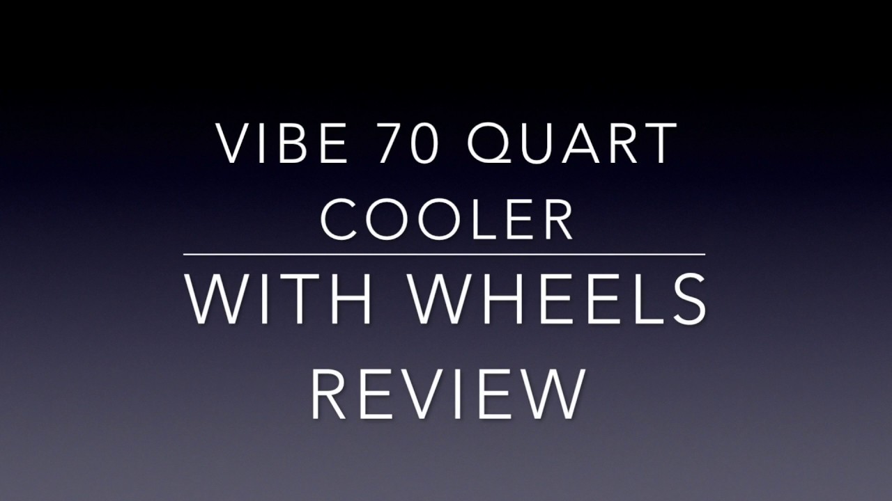 vibe cooler review