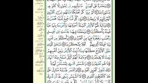 الصفحة (442) من المصحف الشريف ( سورة يس - مشروع حفظ القرآن الكريم )