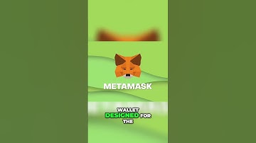 Unlocking the Power of MetaMask: Your Crypto Journey