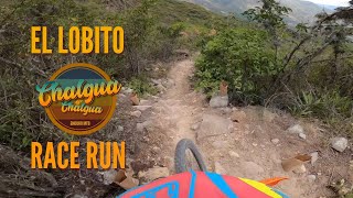 El Lobito ENDURO RALLY / Chalgua es Chalgua MTB