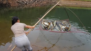 Full Videos: Unique Fishing  Pumping water outside the natural lake, Harvesting a lot of big fish