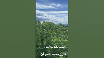 عشائية جديدة خاشعة للقارئ #محمد_اللحيدان من #سورة #فصلت 10/11/1445