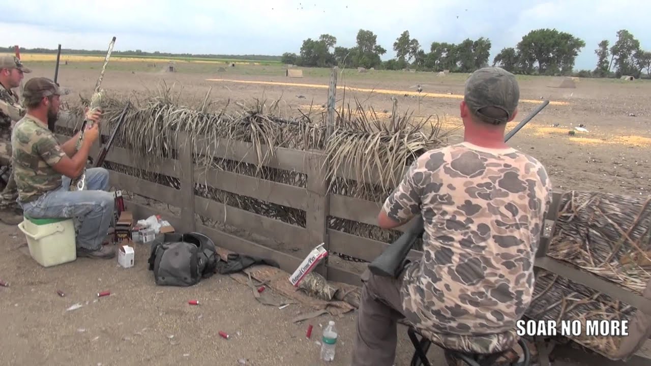 Encounter With Pigeon On Military Ridge >> Soar No More Pigeon Hunting Contest Team Mop Up Youtube Encounter With Pigeon On Military Ridge >> Soar No More Pigeon Hunting Contest Team Mop Up Youtube
