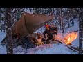 Winter Camping with My Dog - Delicious Campfire Cooking