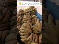 Ramzan m Najaiz Munafa lainy walo k khilaaf sakht Action Salma Butt Assistant Director to CM Punjab