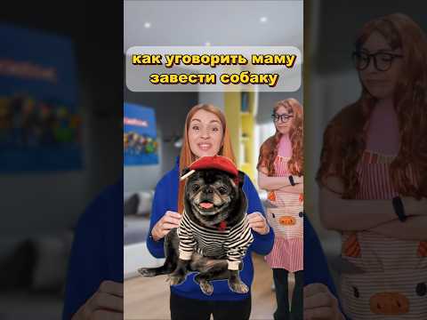 как уговорить маму завести собаку ?🐶🐕🦺 #собака #жиза #туториал #мама