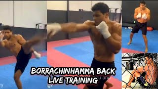 paulo costa borrachinhamma hits the gym live