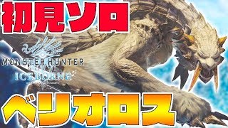 ベリオロスに初見ソロで挑む男-PART4-【モンスターハンターワールドアイスボーン】【全