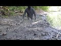 Mud hole