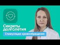 Как дожить до 100 лет? Улучшаем кровообращение мозга