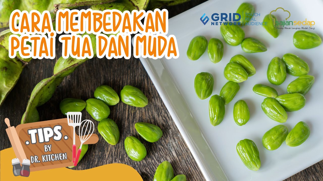 Jual Petai Pete Mlanding Parkia Speciosa Isi 10 Papan Biji Petai Biji Pete Di Lapak Nikida Store Bukalapak