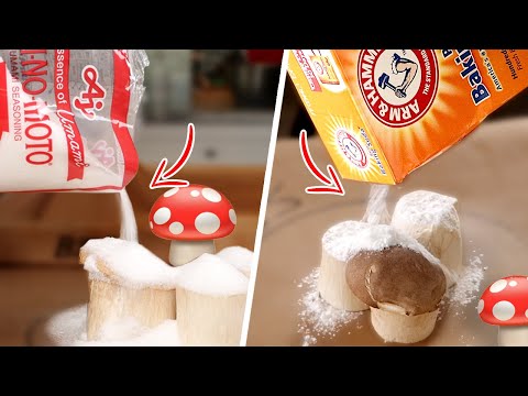 Video: Making Salted Mushrooms