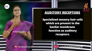 First Bell 2.0 STD 10 Biology - English Medium Class 05
