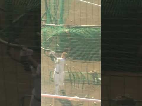 谷川原健太選手（ホークス・豊橋中央高卒）の連続トスバッティング