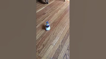 Bristlebot