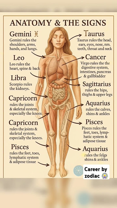 Anatomy & The Signs #astrology