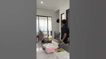 Prank Dea gajadi manggil