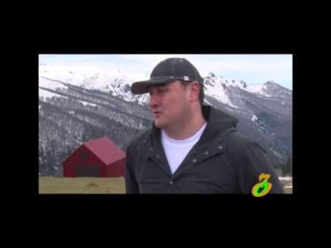 ერთი ნაბიჯი ზღვიდან მთამდე