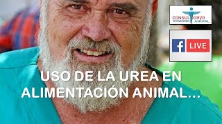 UREA EN ALIMENTACION ANIMAL - YouTube