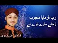 Rab Farmaya Mehbooba Zamany Sary Tery Ny Naat By FARHAN ALI QADRI | SONO MONO