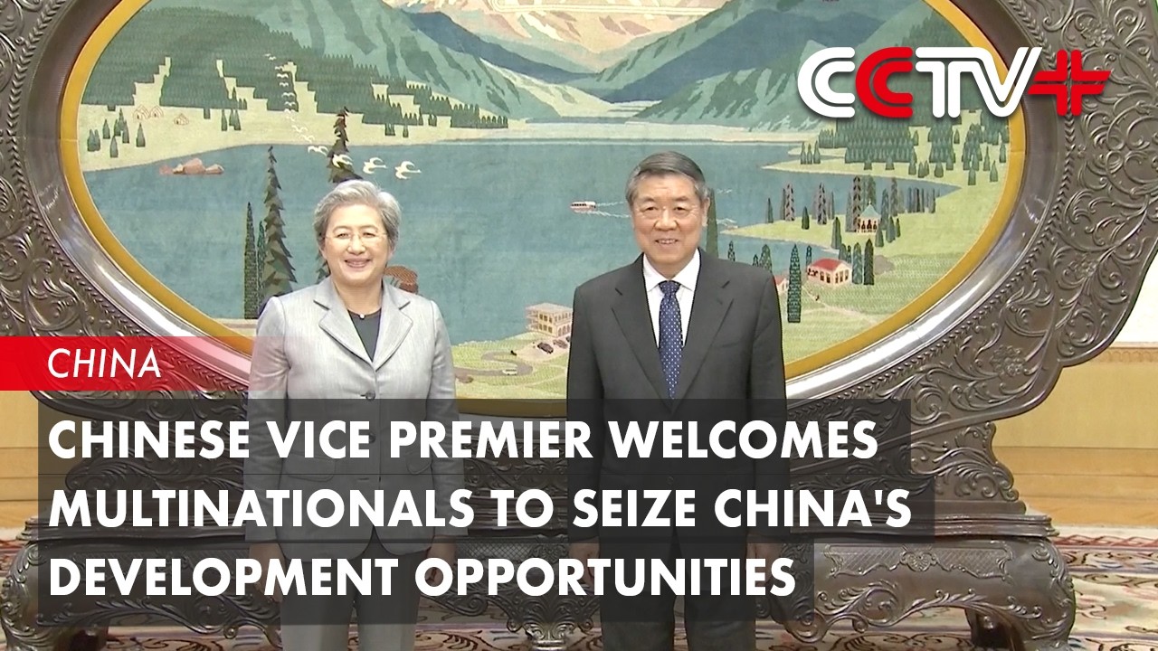 Chinese Vice Premier Welcomes Multinationals to Seize China's ...