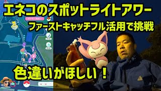 ポケモンgo 色違いエネコ求めてファーストキャッチで全力挑戦 Youtube