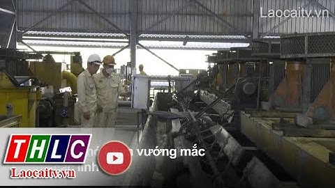 Lào Cai đồng hành cùng doanh nghiệp vượt khó | THLC