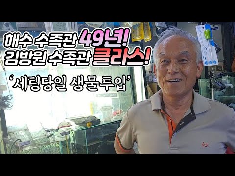 해수 수족관 49년 김방원 수족관 수조 클라스, 국내 유튭 최초 탐방~