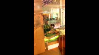 팅커벨과 친구들