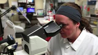 JOBSFostoria ProMedica